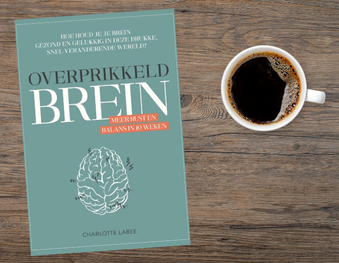 Overprikkeld brein – Charlotte Labee